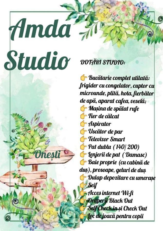 Amda Studio 奥内什蒂 外观 照片